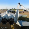 Eagle's Tail - F-15B Eagle